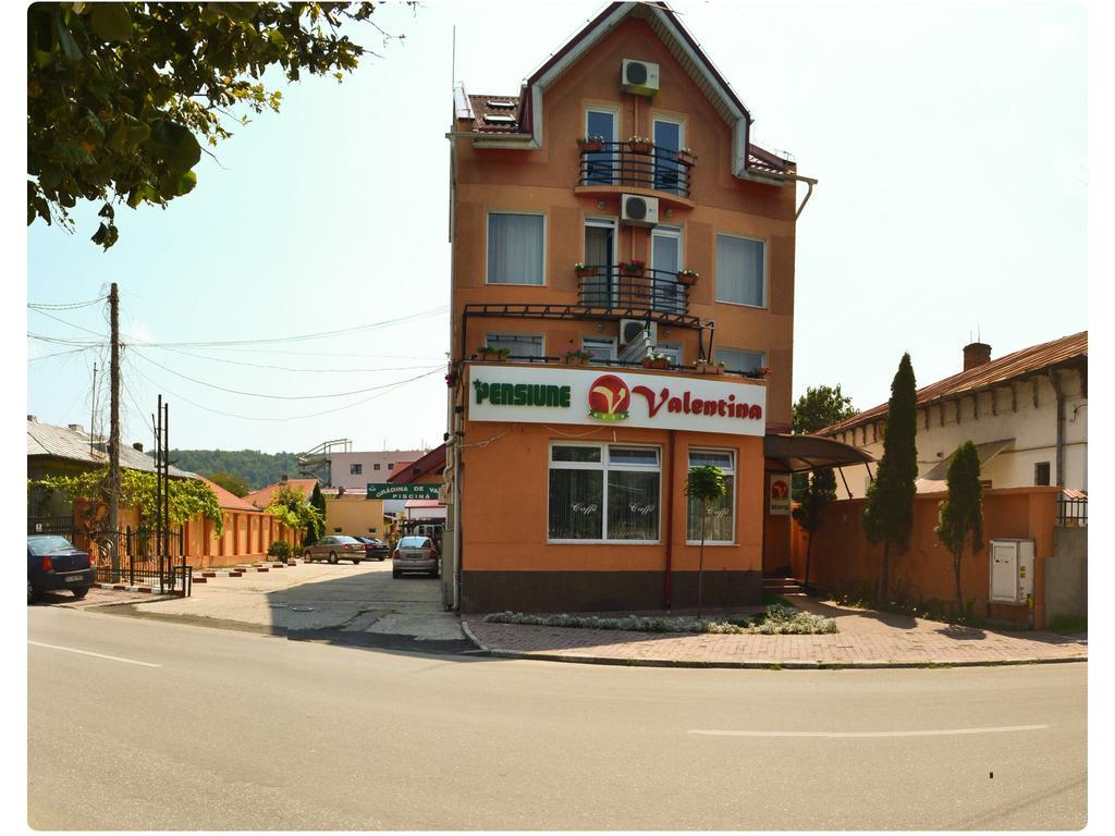 Pensiune Valentina Hotell Râmnicu Vâlcea Eksteriør bilde